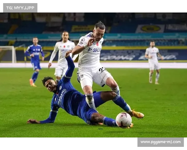 埃弗顿阵容伤病困扰 布兰斯韦特长期缺阵影响表现